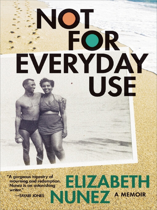 Title details for Not for Everyday Use by Elizabeth Nunez - Wait list